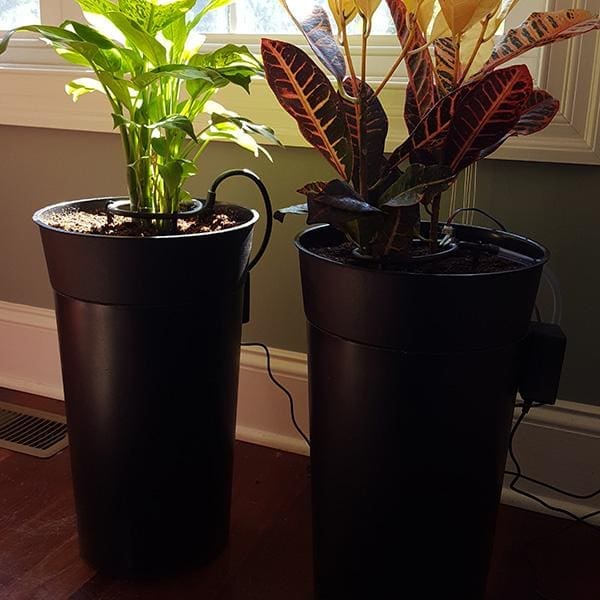 self watering pot arduino